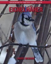 Eichelhaher