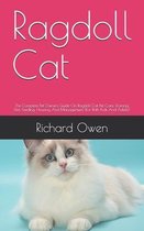 Ragdoll Cat