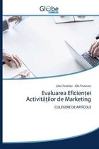Evaluarea Eficienței Activităților de Marketing