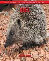 Igel