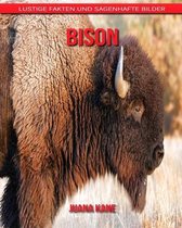 Bison