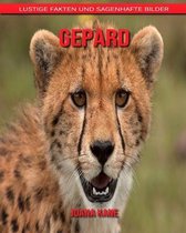 Gepard