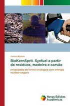 BioKernSprit. Synfuel a partir de resíduos, madeira e carvão