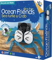 PlaySTEAM - Sea Turtle & Crab