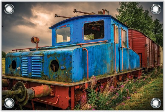 Tuinposter -Gekleurde Verroeste Trein- Foto op Tuinposter (wanddecoratie voor buiten en binnen)