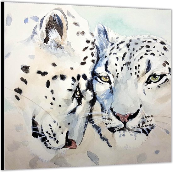 Dibond –Schilderwerk van Twee Witte Panters– 50x50 Foto op Aluminium (Wanddecoratie van metaal)