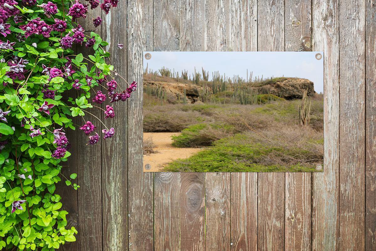 Affiche de jardin Cactus sur la côte de la mer Méditerranée 60x40