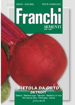 Franchi -  Bieten/Kroten, Bietola Da orto Detroit 11/10