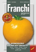 Franchi -  Tomaat, Pomodori Golden Boy HY F1 106/63