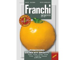 Franchi -  Tomaat, Pomodori Golden Boy HY F1 106/63