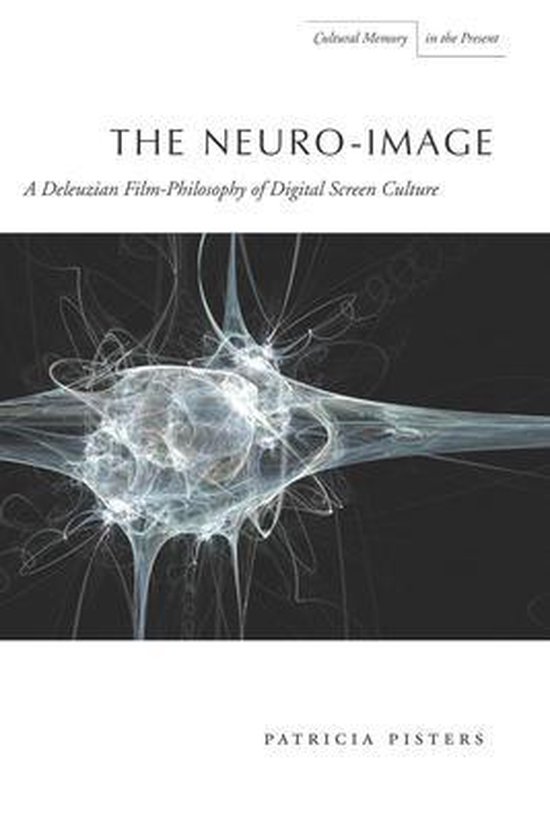 Cultural Memory in the Present - The Neuro-Image - cover