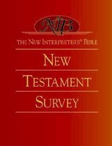 The New Interpreters Bible New Testament Survey