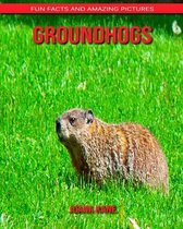 Groundhogs