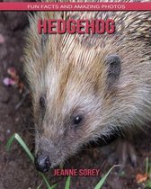 Hedgehog