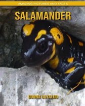 Salamander