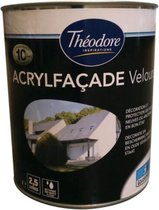 Theordore Acryl facade 2,5l wit