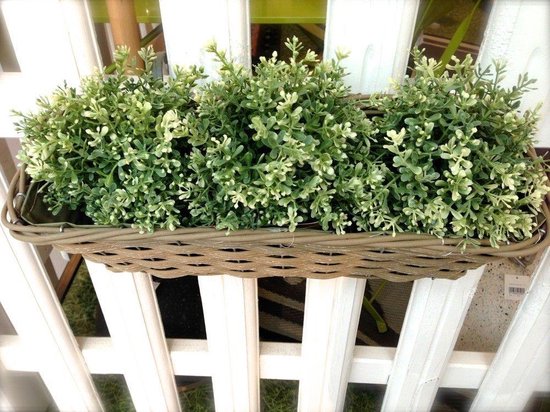 Bang om te sterven In het algemeen Verspilling Balkon Plantenbak Rotan Riet | Hout | Bruin | Tuin | Bloemen | Planten |  Balkon |... | bol.com