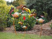 Tuinbeeld - Kleurrijke vogel  - 57 cm hoog