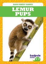 Rain Forest Babies- Lemur Pups