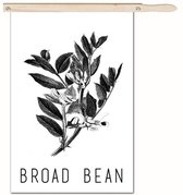 Schilderij - Broad Bean