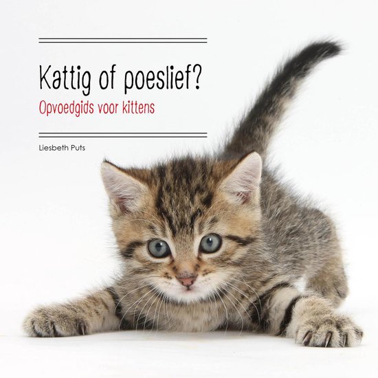 Boek Over Verzorgen Kittens - Opvoedgids Voor Kittens - Kattig Of Poeslief? - Paperback -176 pagina's