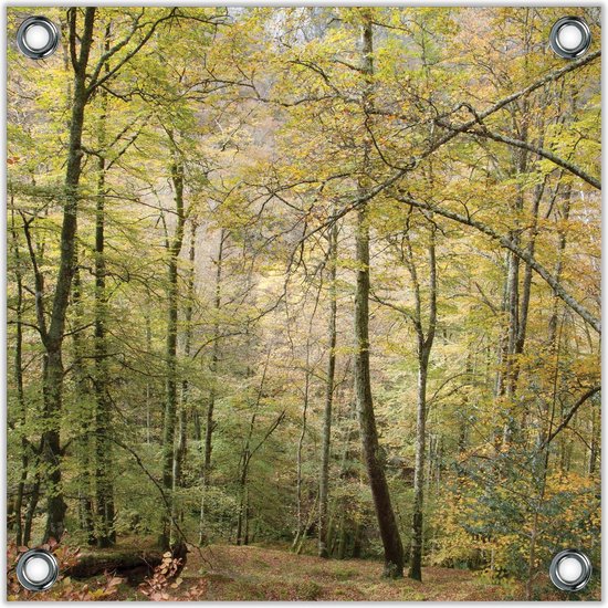 Tuinposter –Bos vol met Bomen– 100x100 Foto op Tuinposter (wanddecoratie voor buiten en binnen)