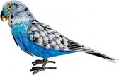 Tuinbeeld vogel Parkiet blauw metalen tuindecoratie
