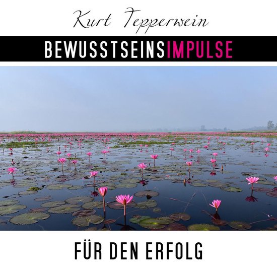 Bewusstseinsimpulse für den Erfolg - cover