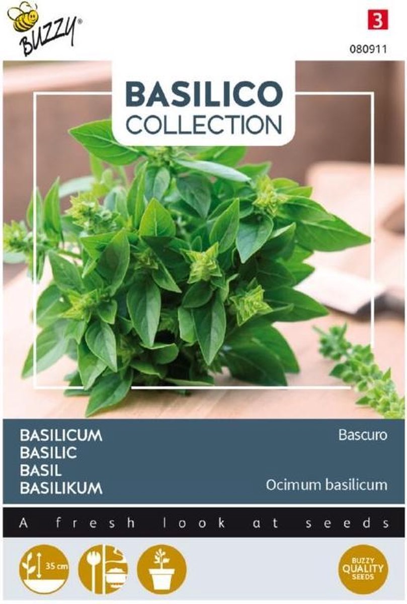 Buzzy - Basilicum Bascuro