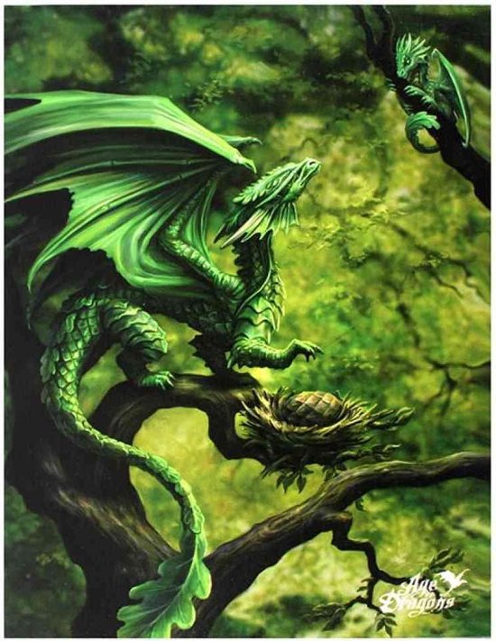 Something Different - Forest Dragon Canvas afbeelding - Groen