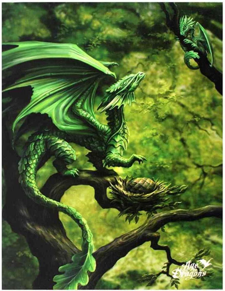 Anne Stokes - Forest Dragon - Canvas afbeelding