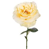 Viv! Home Luxuries Engelse roos - zijden bloem - licht geel - topkwaliteit