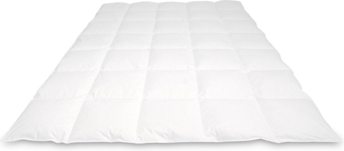 Cassenz REMBRANDT | donzen dekbed | 100% ganzendons | Herfst | warmteklasse 3 - 200/220cm - 600gr.