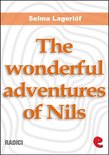 Radici - The Wonderful Adventures of Nils