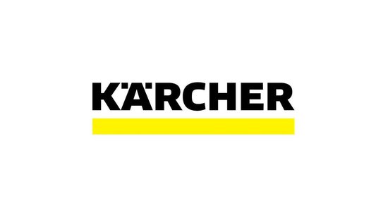 Kärcher SP 2 Flat Dompelpomp - 6000 l/u - 250w | bol.com