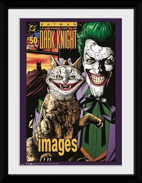 Poster - Batman Comic Joker Cat - 40 X 30 Cm - Multicolor