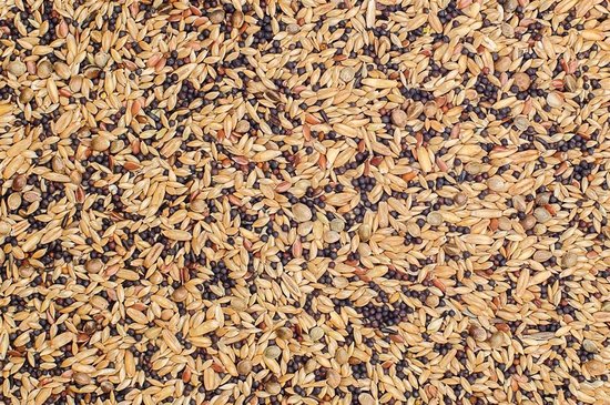 Mijten Kanarievoer - Zangzaad - Kanariezaad - 20 kg