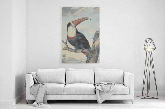 Cadre textile 100x150cm avec Le toucan à bec rouge d'Aert Schouman | bol.com