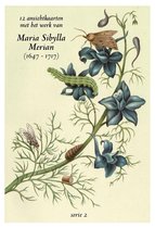 Wenskaarten set - 12 ansichtkaarten van werk van Maria Sybilla Merian- serie 2. Kaarten met bloemen en planten en insecten waaronder vlinders en rupsen.