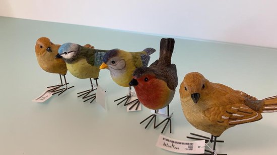 wetenschapper Umeki Verknald 5 vogel beeldjes | bol.com