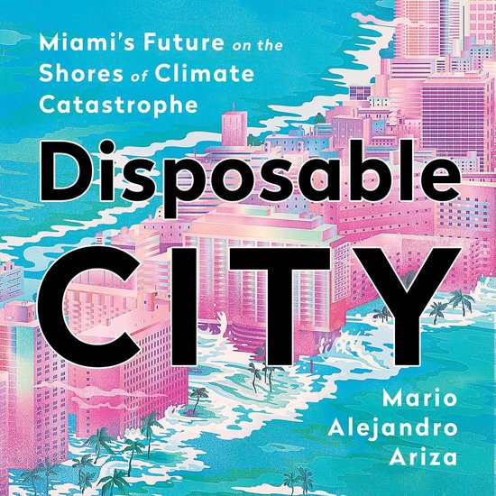 Disposable City - cover