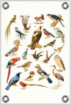 Tuinposter –Getekende Vogelsoorten– 30x40  Foto op Tuinposter (wanddecoratie voor buiten en binnen)