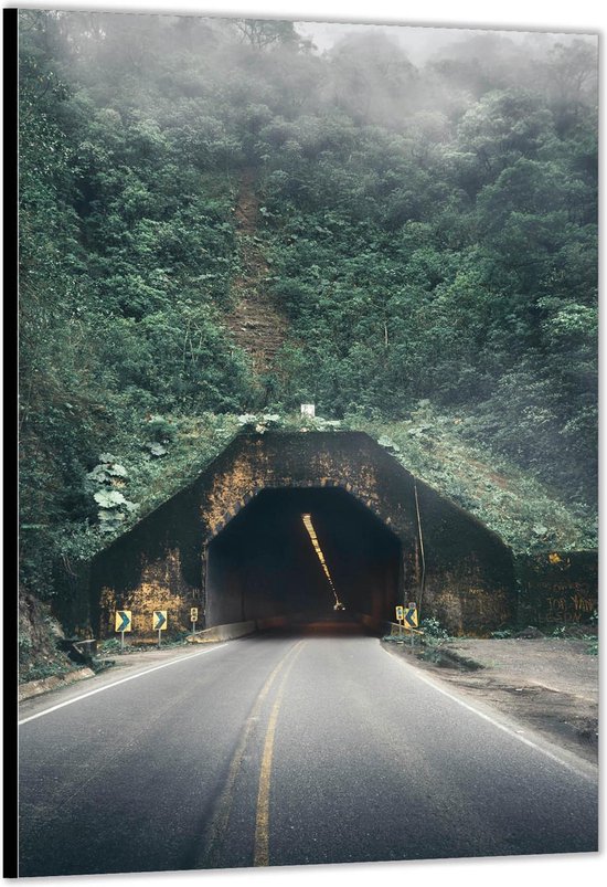 Dibond –Tunnel onder Berg door– 60x90 Foto op Aluminium (Wanddecoratie van metaal)
