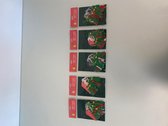 Gift tags with tassels (kaartjes en toffels) (groen/roze/rood) - set van 5 keer 6 stuks