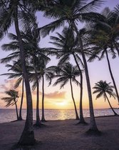 Fotobehang - Palmtrees on Beach 200x250cm - Vliesbehang