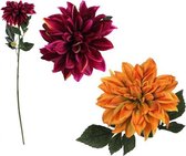 Decoratieve Bloem Dahlia 114431