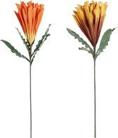 Decoratieve Bloemen DKD Home Decor Geel Oranje EVA (Ethyleenvinylacetaat) (2 pcs)
