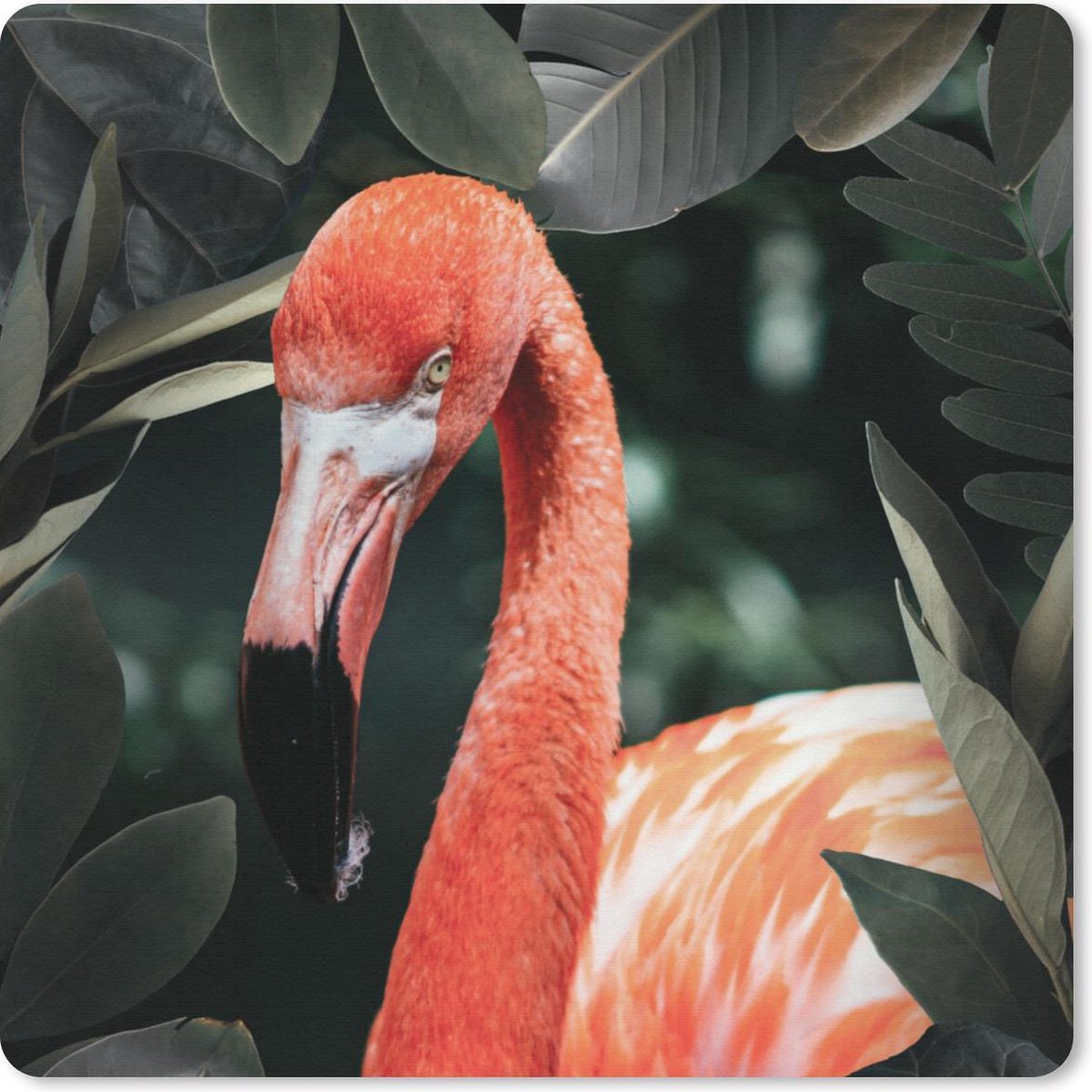 Muismat 30x30 cm - Mousepad Flamingo - Bladeren - Portret - Muismatten