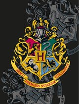 Harry Potter Fleecedeken Hogwarts School - 130 x 170 cm - Polyester