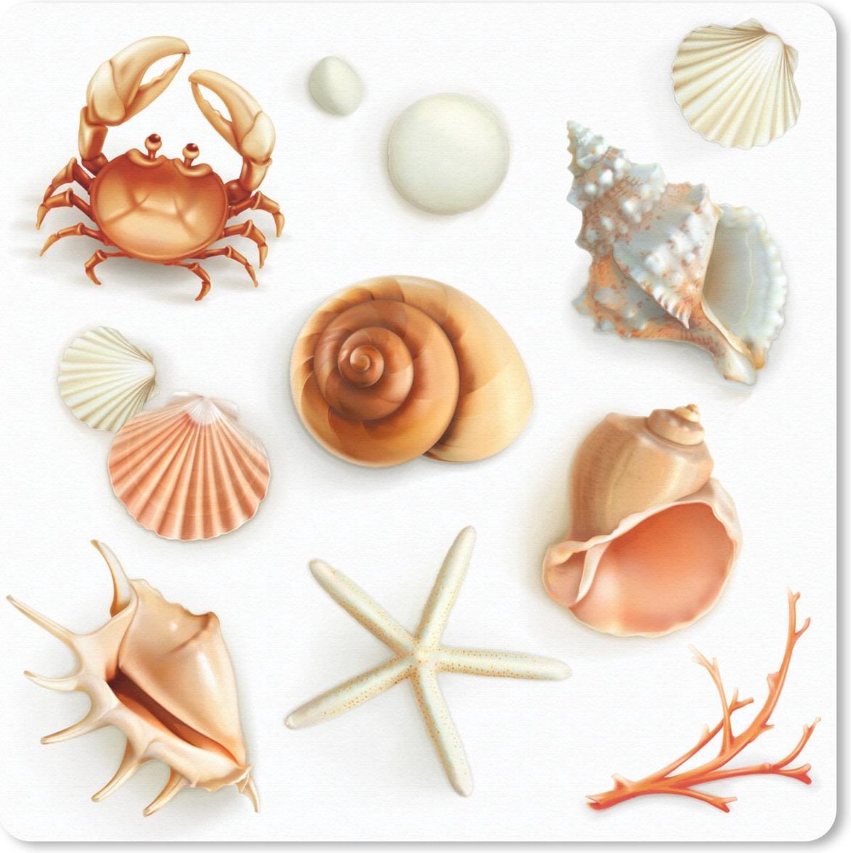 Muismat 20x20 cm - Mousepad Schelpen - Zeedieren - Collage - Muismatten